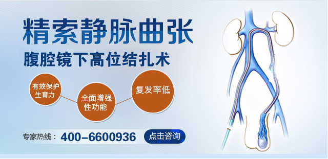 精索静脉曲张如何影响男性生育
