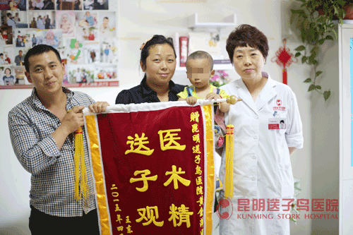 昆明送子鸟医院电子病历